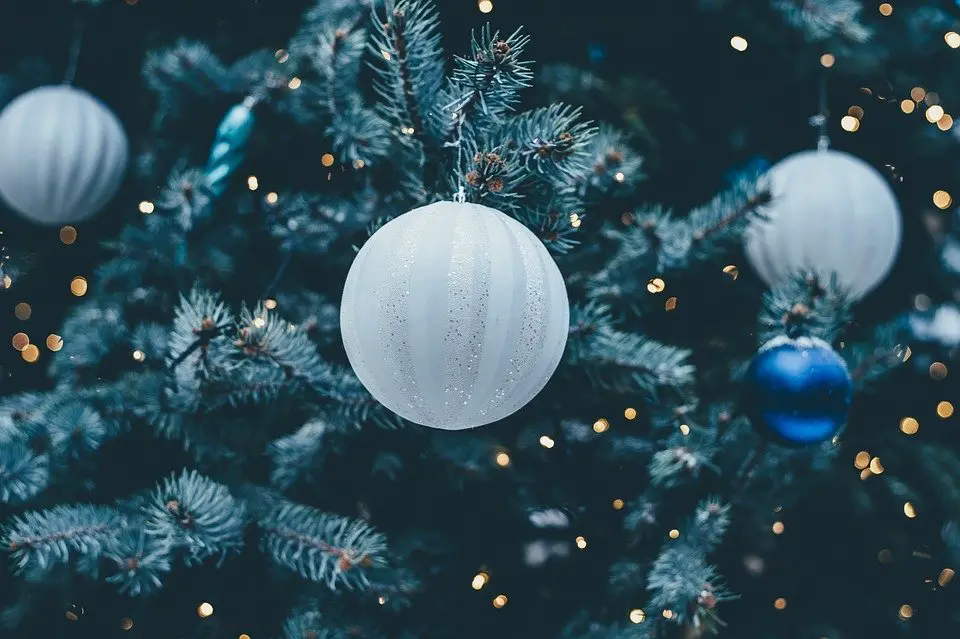 Blue and white baubles hanging from a Christmas tree.