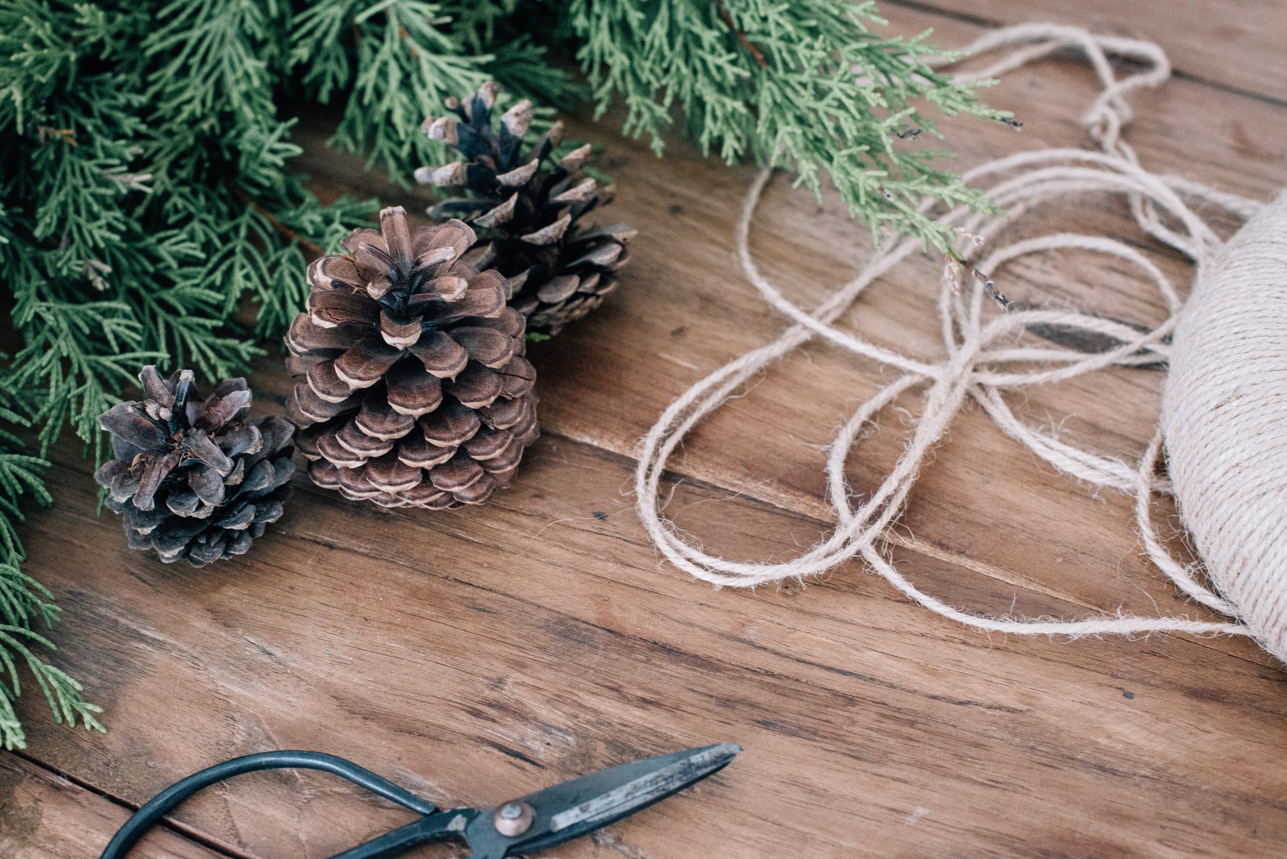 A Christmas tree alongside three pinecones, scissors, and a ball of thread.