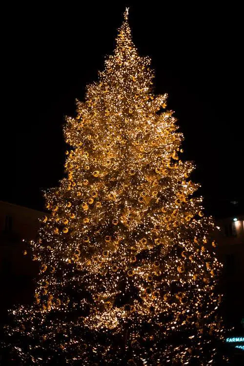 A Christmas tree decorated with fairy lights in the night.