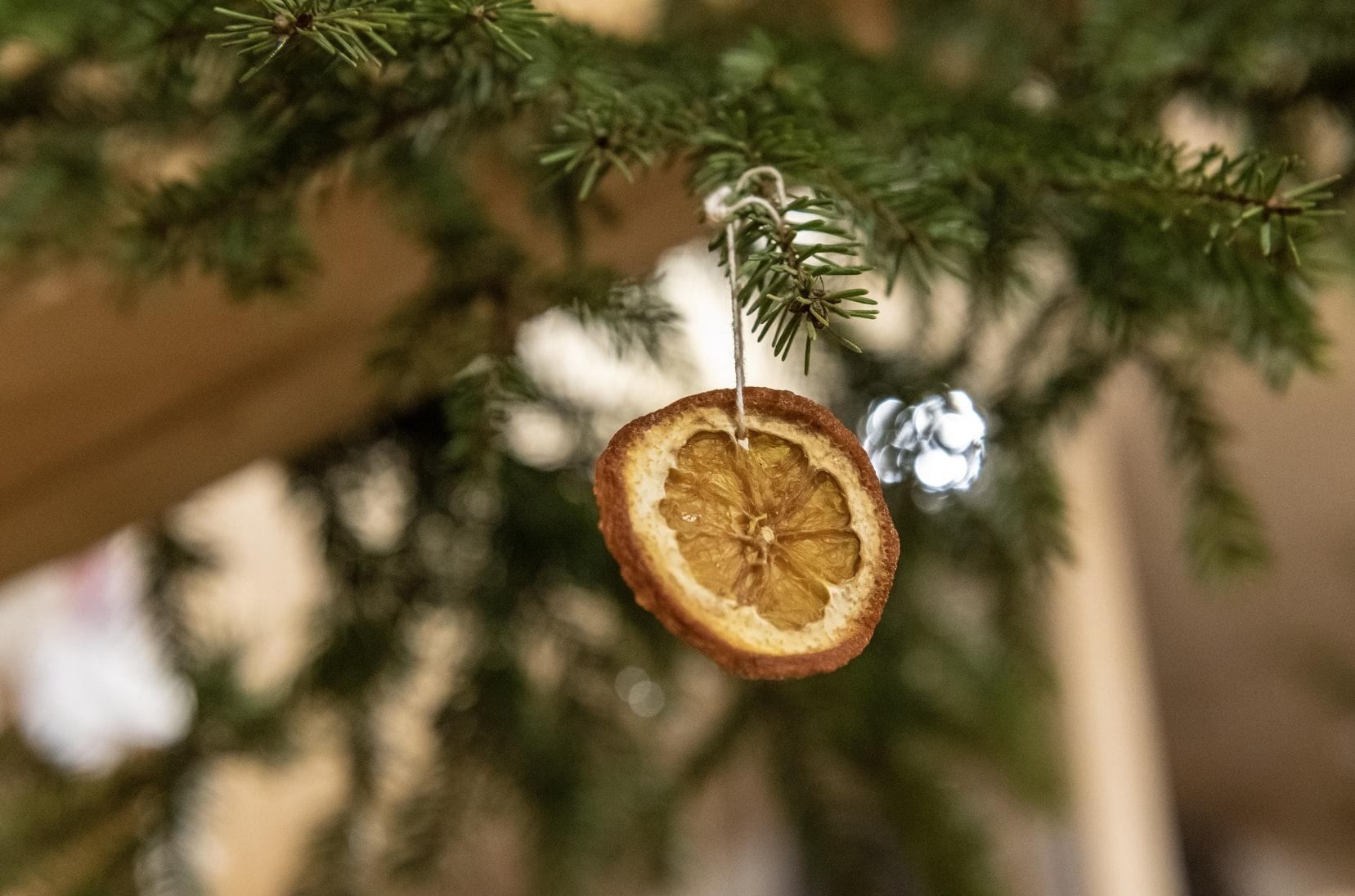 A dried citrus slice tied to the branch of a Christmas tree using a twine.