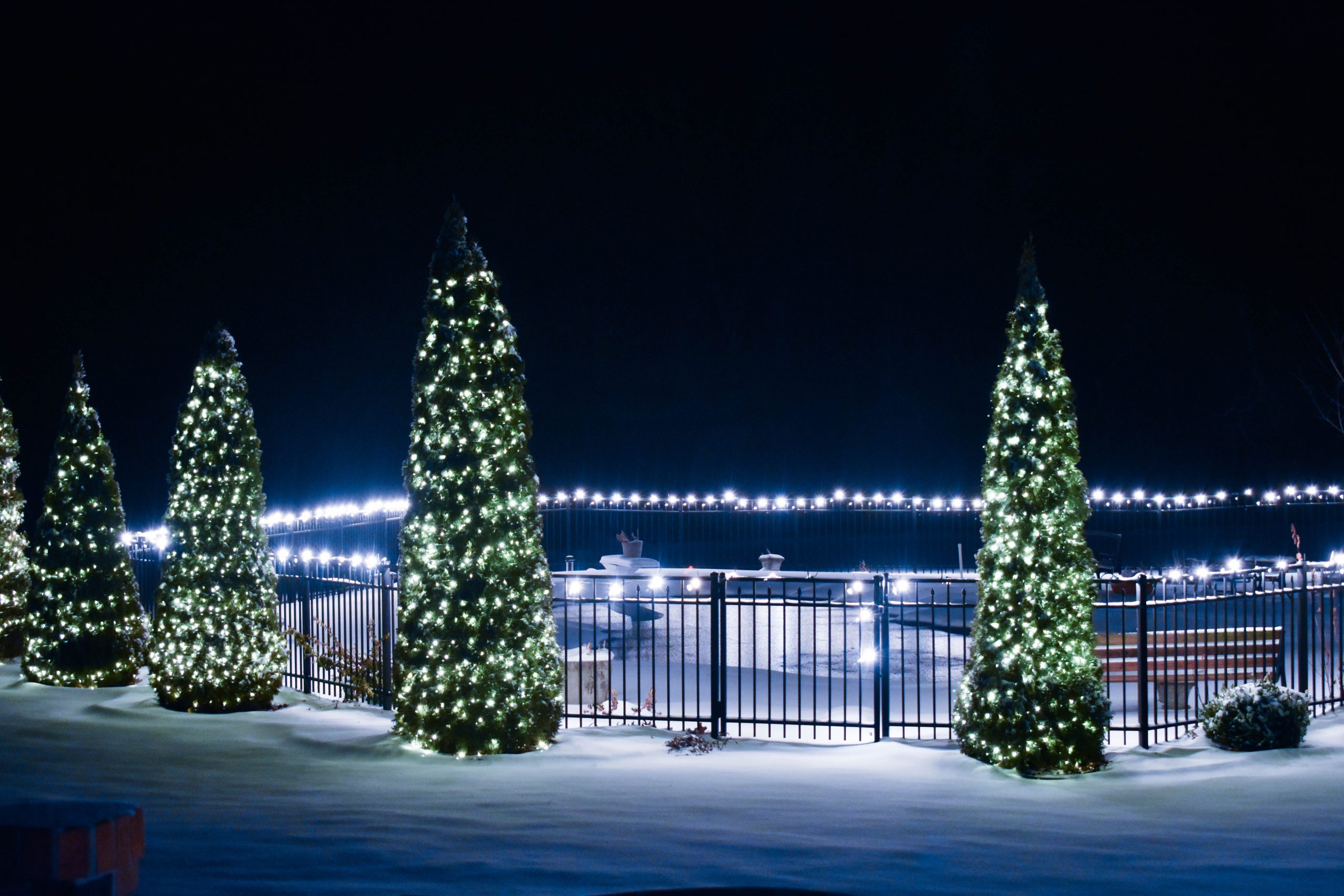 A line of outdoor Christmas trees with lights on a snowy night to showcase the Christmas decorations.