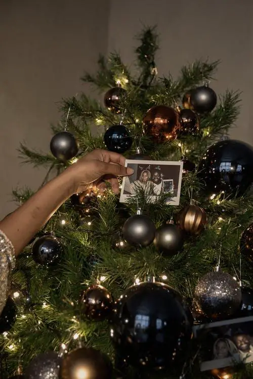 Person holding a black and white photograph against a decorated Christmas tree.