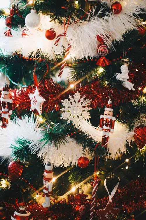 Red and white holiday decorations hanging from a Christmas tree.