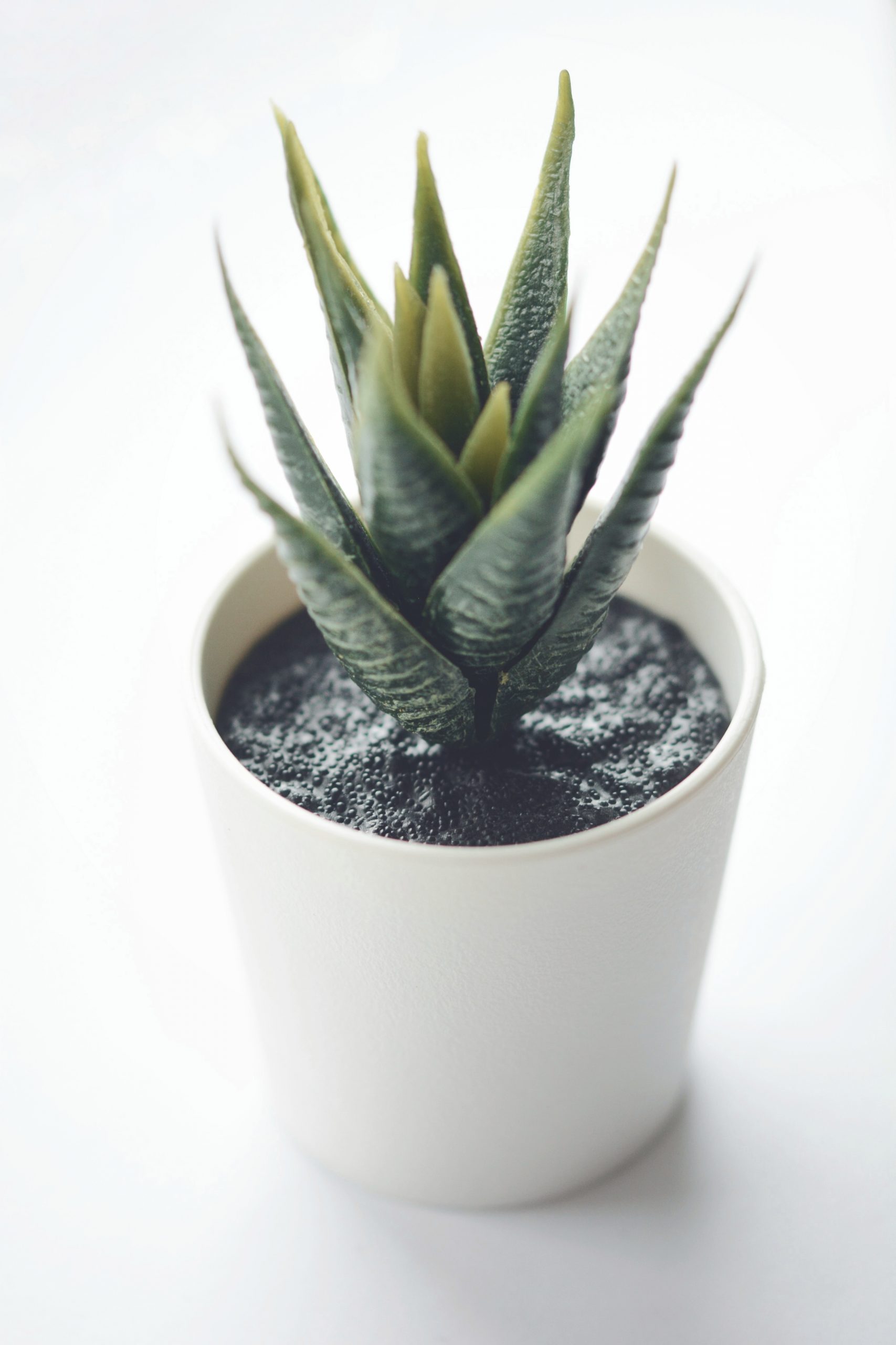 A synthetic plant with artificial soil inside a white cylindrical pot.