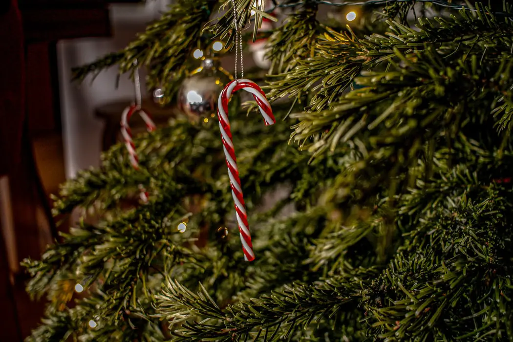 Red and white candy cane ornament on a Christmas tree