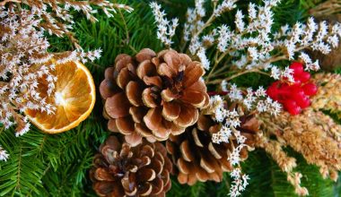 Three big, brown pine cones, white and brown flowers, red berries, and an orange peel decoration on the green leaves of a Christmas tree.