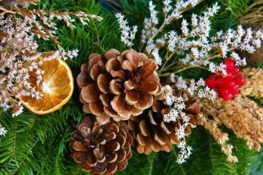 Three big, brown pine cones, white and brown flowers, red berries, and an orange peel decoration on the green leaves of a Christmas tree.