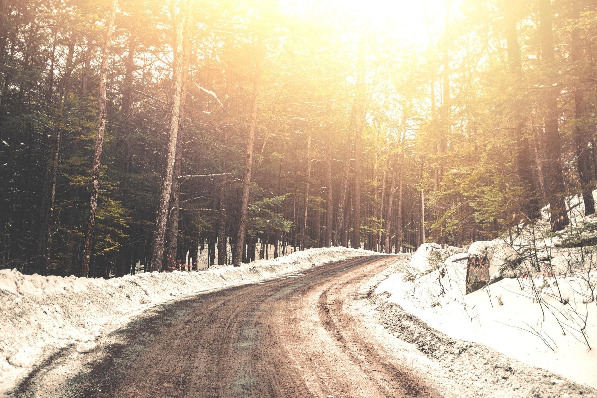 A road in the forest during the snowfall season