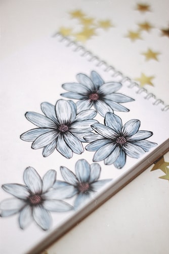 White flowers on a journal page The page of a journal that has five white flowers drawn and golden stars set against a white background