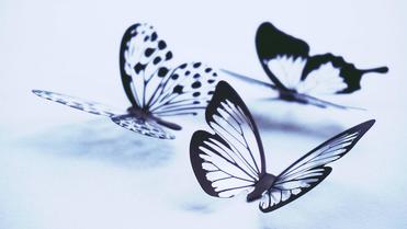 10 Amazing Butterfly Tattoo Ideas - Greenorc