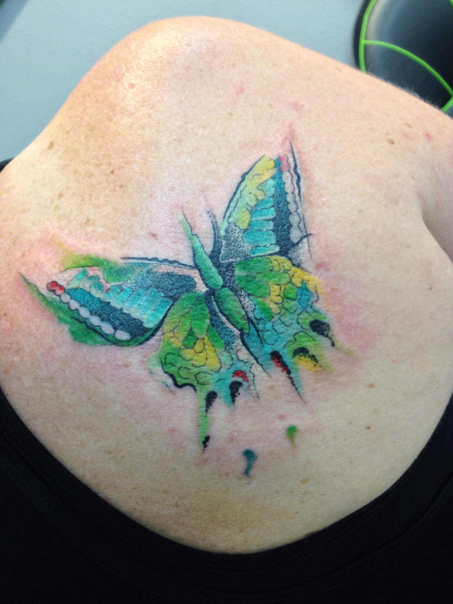 Colorful, Watercolor, Butterfly, Tattoo