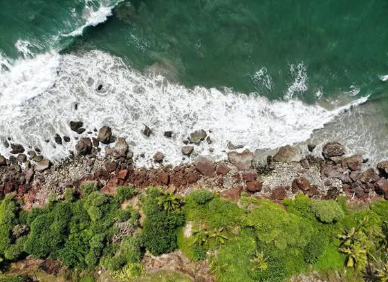 Sydney’s shores are filled with rocky landscapes, greenery, and the ocean, as captured in this aerial photo.